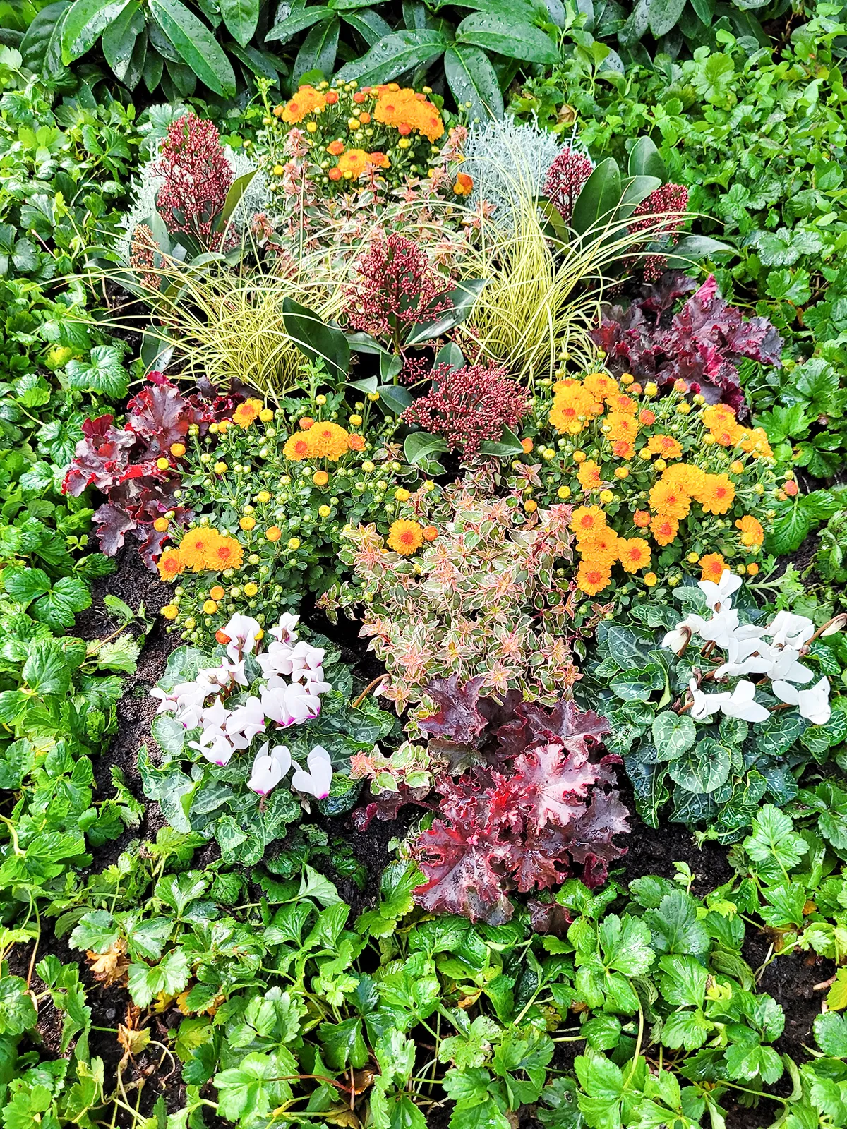 Herbstbepflanzung